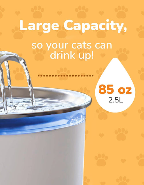 Load image into Gallery viewer, Cat Water Fountain, 85Oz/2.5L Pet Water Fountain Indoor, Automatic Dog Water Dispenser with Switchable LED Lights, 2 Replacement Filters for Cats, Dogs, Pets（Stainless Steel）
