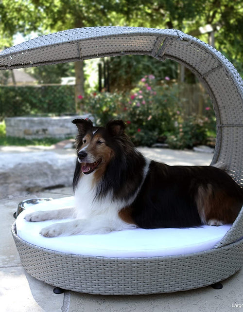 Load image into Gallery viewer, Outdoor Dog Chaise Bed W/Shade Hood, Waterproof Poly Rattan Lounger with Washable Cushion, Smoke, Chaise-Sk-Amz
